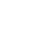 Clean On — Dératisation